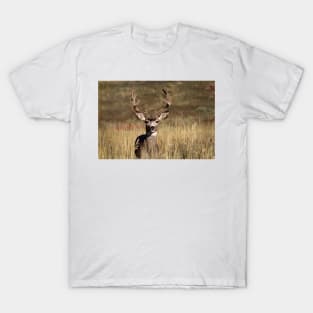Whitetail Deer T-Shirt